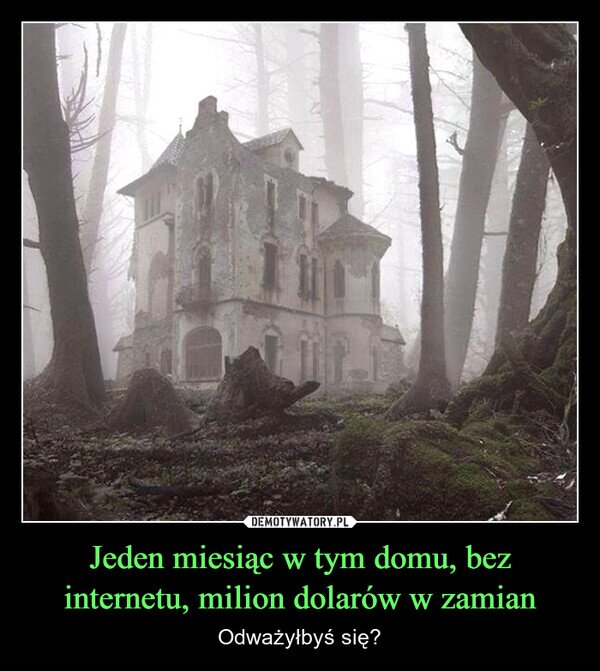 Jeden miesiąc w tym domu, bez internetu, milion dolarów w zamian