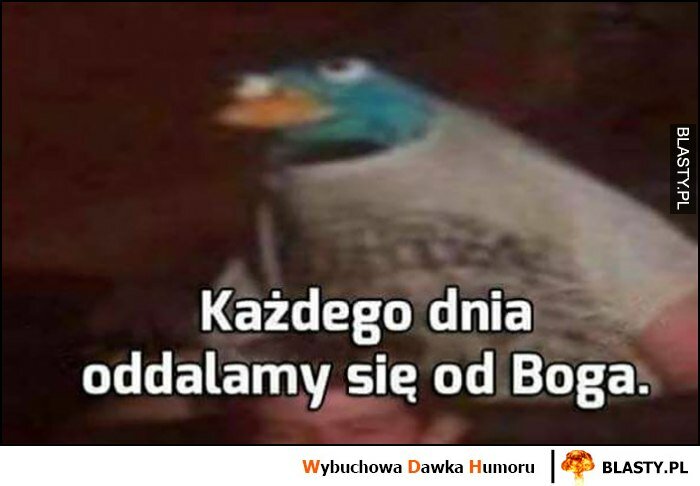 Każdego dnia oddalamy się od Boga ptak kaczka