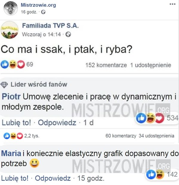 Co ma i ssak, i ptak, i ryba? 2