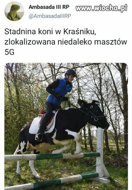 No i się zaczęło!