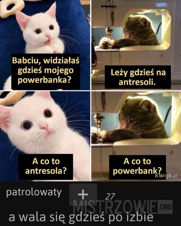 Wnuczek i babcia